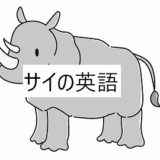 サイは英語で何という？Rhinoの読み方発音は？
