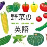 野菜の英語の一覧を見てみよう！小学生にもおすすめ