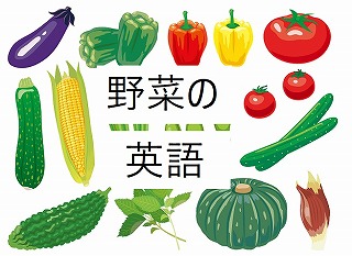 野菜の英語の一覧を見てみよう！小学生にもおすすめ